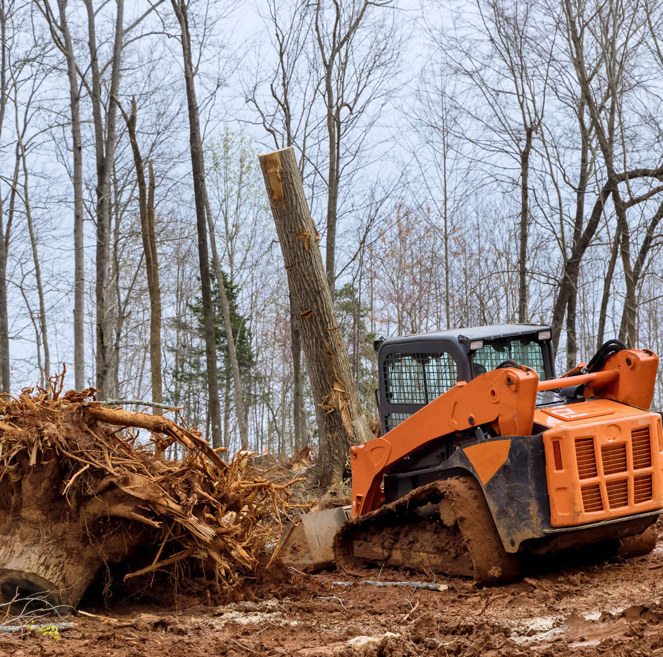 land clearing