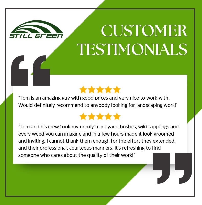 testimonials.com