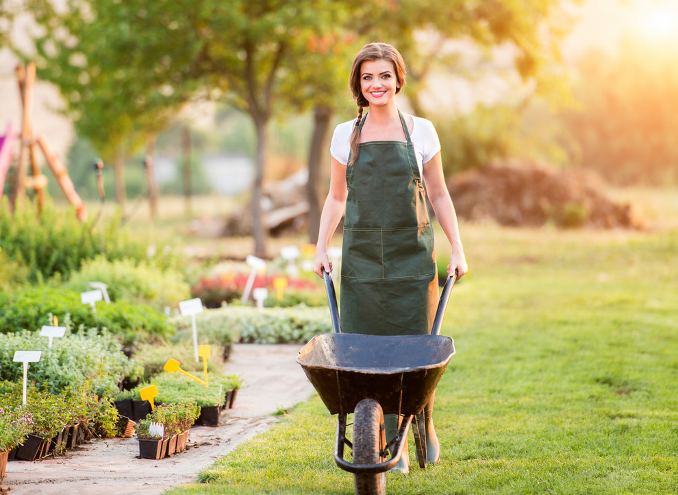 Woman pushing a wheelbarrow while gardening with professional landscaping tools in her backyard